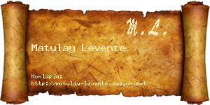 Matulay Levente névjegykártya