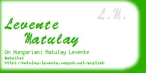 levente matulay business card